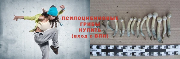 ГАЛЛЮЦИНОГЕННЫЕ ГРИБЫ Алексин
