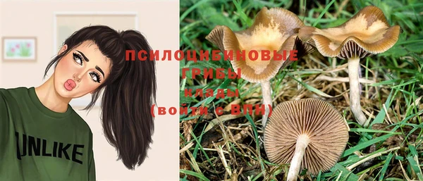 эйфоретик Лабытнанги