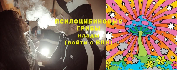 ГАЛЛЮЦИНОГЕННЫЕ ГРИБЫ Алексин