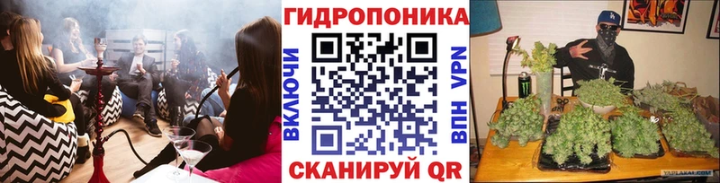 Каннабис MAZAR  Приморско-Ахтарск 